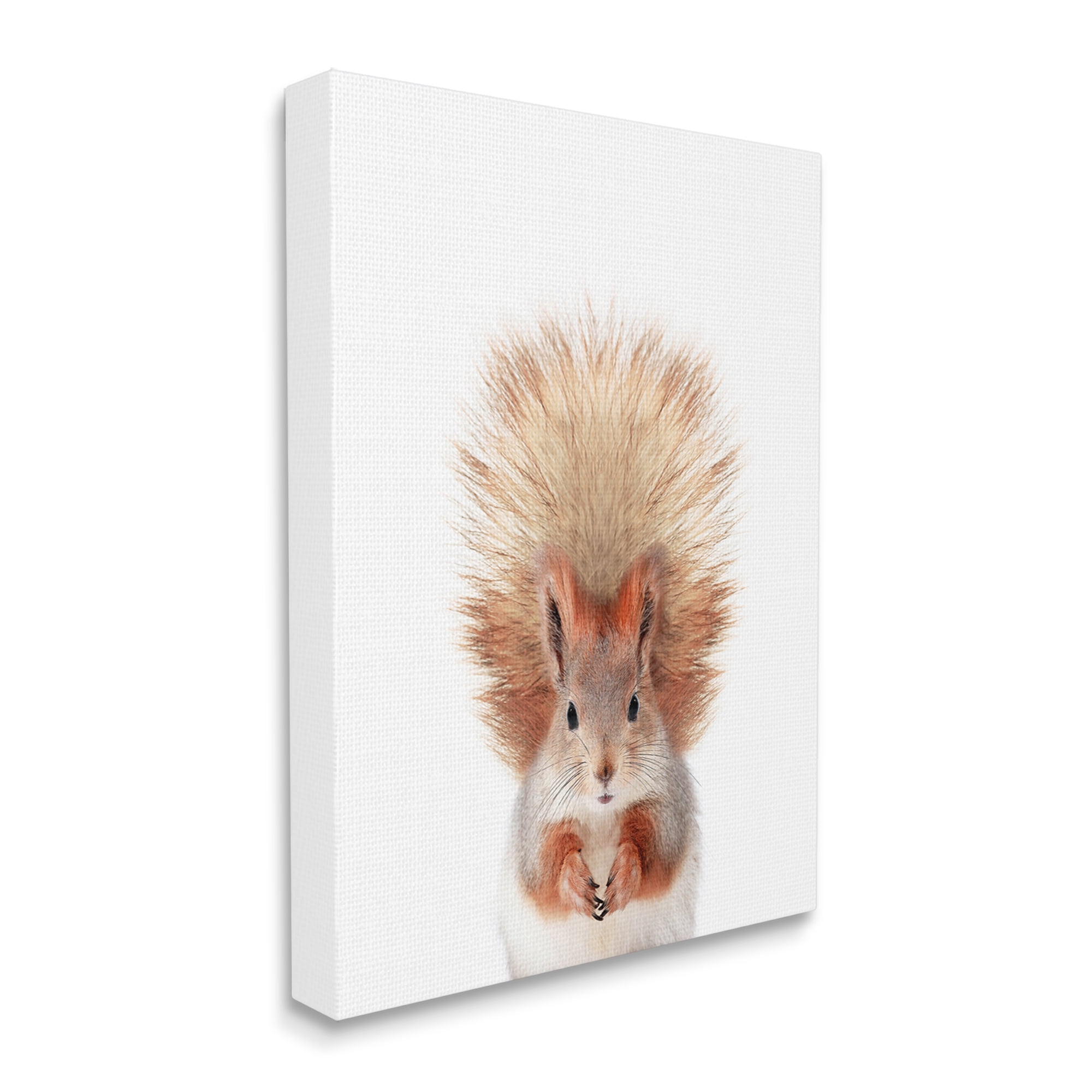 Stupell Industries Squirrel Wildlife Portrait Animals & Insects Painting Gallery Wrapped Canvas Print Wall Art, 30 x 40