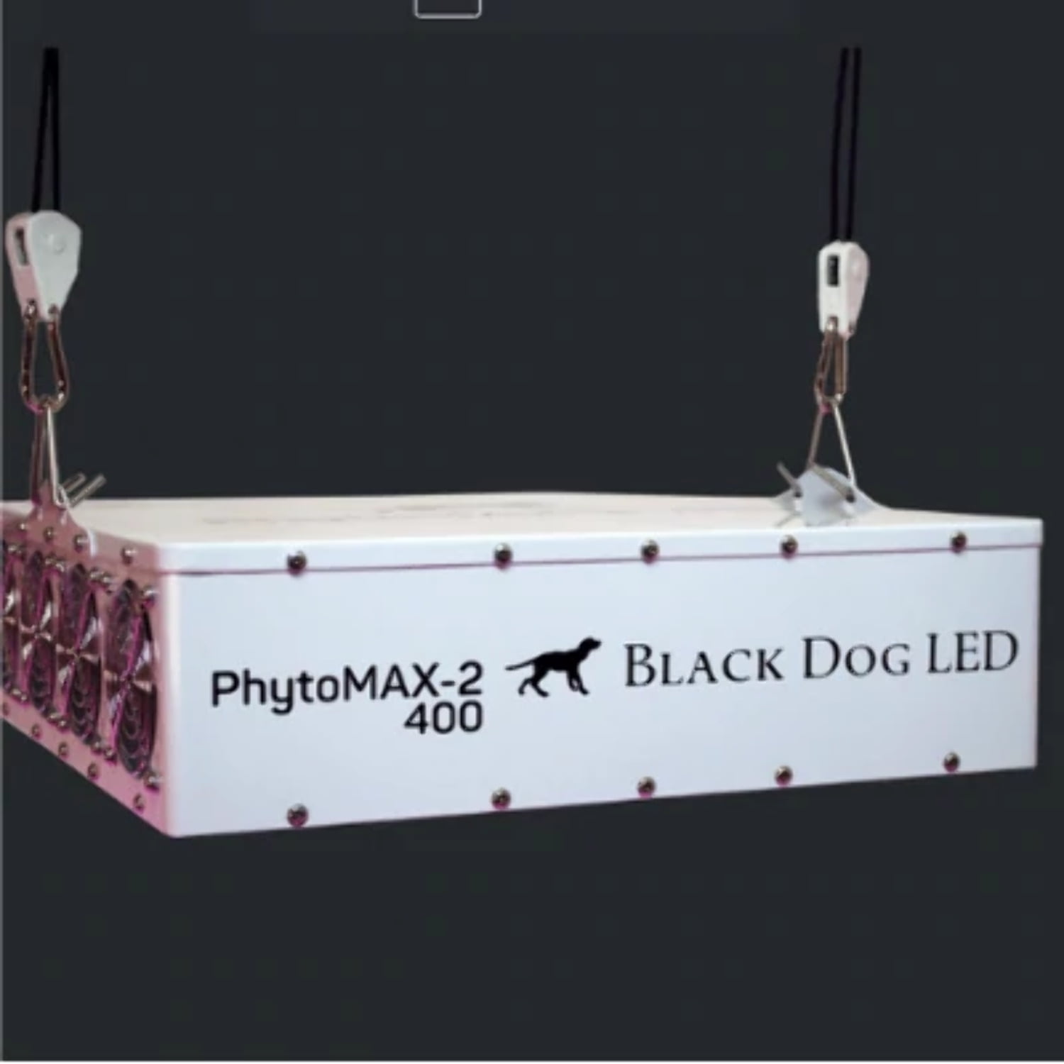 Black dog shop led 400