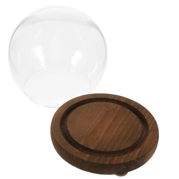 Transparent Display Case with Wooden Base Eternal Flower Glass Dome Cloche