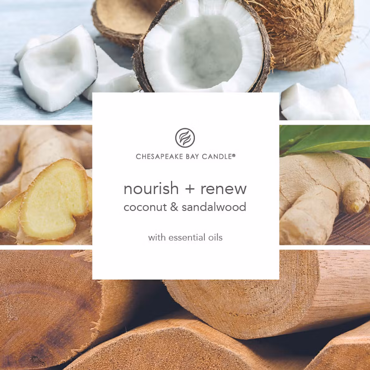 thumbnail image 5 of Chesapeake Bay Candle Scented Candle, Nourish + Renew (Coconut & Sandalwood), Medium, 5 of 5