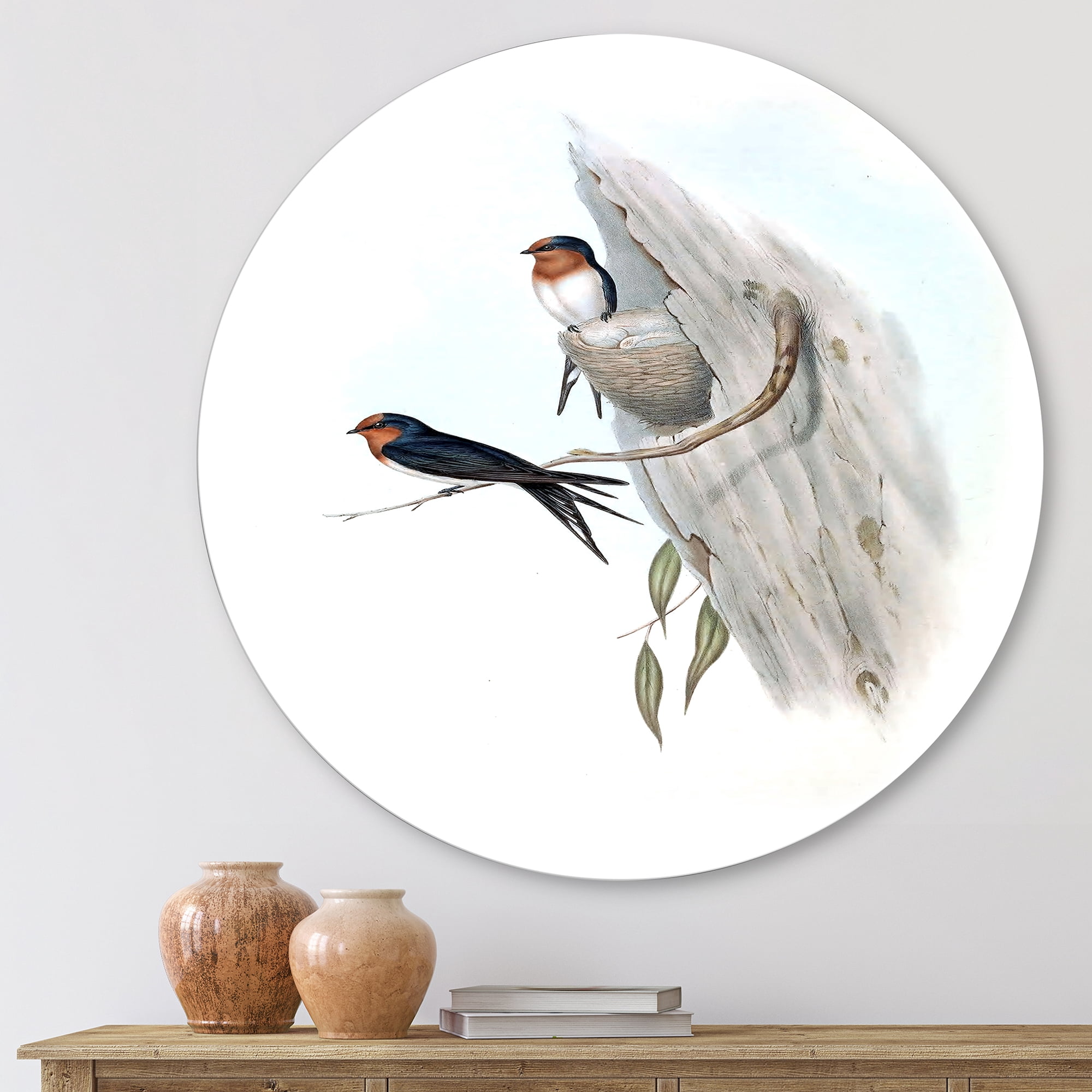 Designart 'Ancient Australian Bird Illustrations II' Traditional Circle Metal Wall Art 11x11 - Disc of 11