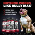 thumbnail image 2 of Muscle Builder Power Tabs Bully Max para cachorros y perros adultos, 2 of 7
