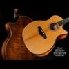 Taylor Builder's Edition 614ce Grand Auditorium Acoustic-Electric Guitar
