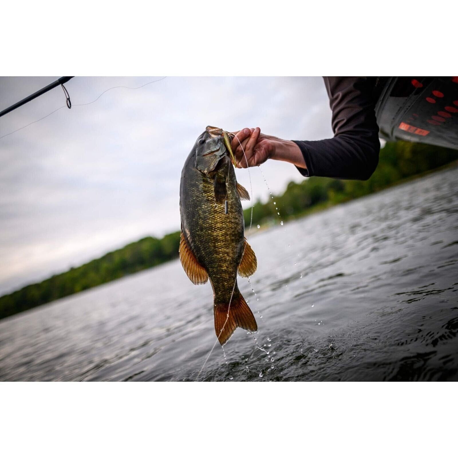 Berkley PowerBait Pro Twitchtail Minnow Fishing Bait, Firetiger, 3in | 8cm