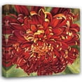 thumbnail image 1 of Selina Werbelow 26x26 Gallery Wrapped Canvas Wall Art Titled - Chrysanthemum, 1 of 4