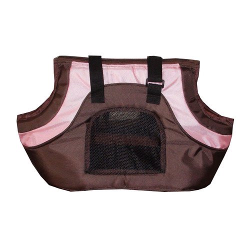 Best Pet Supplies Oxford Pet Carrier