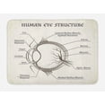 thumbnail image 1 of Biology Bath Mat, Structure of Human Eye Anatomy Iris Pupil Lens Macula Aqueous Humour, Plush Bathroom Decor Mat with Non Slip Backing, 29.5" X 17.5", Eggshell Brown and Black, by Ambesonne, 1 of 2
