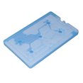 thumbnail image 4 of Nevera portátil para viajes de camping y picnics, con capacidad para 1000 ml, incluye paquete de hielo reutilizable, 4 of 8