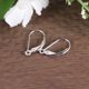 thumbnail image 5 of 8 pendientes de plata en forma de D, elegantes ganchos para las orejas, delicados accesorios para colgar las orejas, joyería para mujeres y niñas (plata), 5 of 6