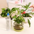 thumbnail image 6 of AYYUFE 4Pcs Home Gardening Plants Mini Sprinkler Sprayer Bottle Waterer Accessories, 6 of 8