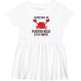 thumbnail image 3 of Inktastic Someone in Puerto Rico Loves Me Girls Baby Dress, 3 of 5