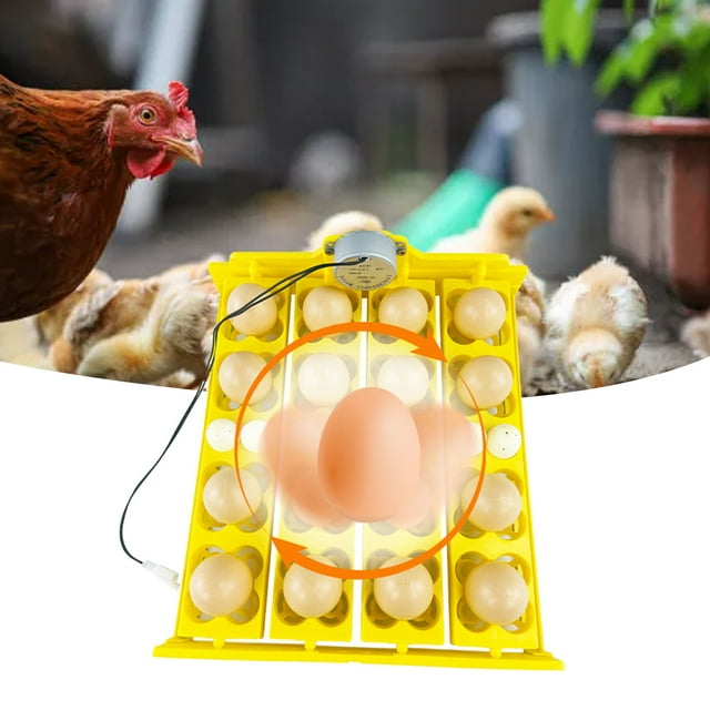 Bandeja Giratoria Para Huevos, Bandeja Automática Para Incubadora De Huevos Para 16 Huevos De Pato, 16 Huevos, 72 Huevos De Codorniz, Garantiza Un Calentamiento Uniforme Y Una