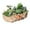 C, variant on Flowerpots with Dish Ceramic, Meaty Flower Pot Ceramic Big Flower Pot Simple Large Caliber Thick Pottery Meaty Plants Plate Rabbit Flower Pot New Styles, Flower Pots