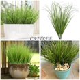 thumbnail image 3 of Plantas artificiales CATTREE, hierba de trigo, 50 cm, 16 paquetes, 3 of 8