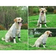 thumbnail image 6 of shenmeida Dog Shoulder Brace Front Leg Brace Canine Elbow Protector Extra Supportive Joint Wrap Arthritis Loss of Stability Helps Wounds Healing Prevents Injuries Sprains, 6 of 7