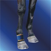 Dick Wicks DW09PFB Magnetic Pastern & Fetlock Boot