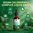thumbnail image 3 of Vegan Chlorophyll Liquid Drops 200mg, Advanced Liquid Chlorophyll for Natural Cleansing & Immune Health, Internal Deodorant, Skin & Gut Health, Sugar-Free, Non-GMO, 1 Fl Oz - Mint Flavor, 3 of 7