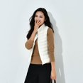 thumbnail image 1 of Chaleco de plumón para mujer de otoño e invierno Chaleco corto de plumón ligero con cuello vertical para mujer, 1 of 5
