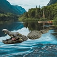 thumbnail image 2 of Realistic Floating Alligators Decoys Garden Statues Floating Alligators Decoys, 2 of 5