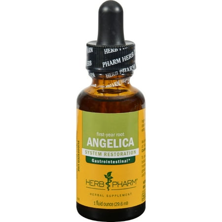 UPC 090700000011 product image for Herb Pharm 618058 Angelica Liquid Herbal Extract 1 Fl Oz | upcitemdb.com