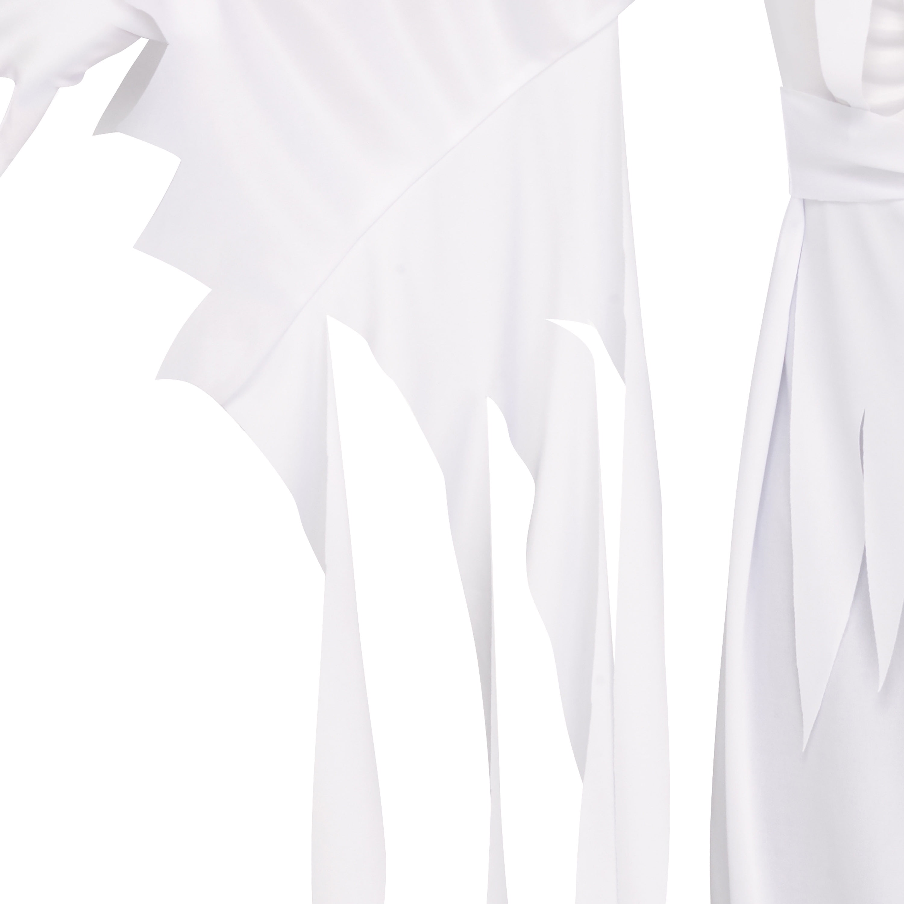 Banshee Ghost Halloween Costume for Children, Boys Size L (10/12), by Fun World