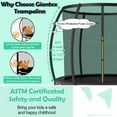 thumbnail image 4 of Gymax 8FT Recreational Trampoline w/ Ladder Enclosure Net Safety Pad Outdoor Black, 4 of 10