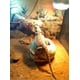 thumbnail image 5 of Decoración del Acuario Resina Cabeza Artificial Esqueleto Decoración - Acuario Otaru Acuario Cueva Decorativa, 5 of 5
