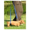 thumbnail image 4 of Arnés de soporte de cadera para perros GingerLead X-Small, 4 of 6