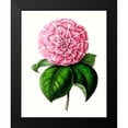 thumbnail image 2 of Unknown 20x24 Black Modern Framed Museum Art Print Titled - Grand Blooms VI, 2 of 5