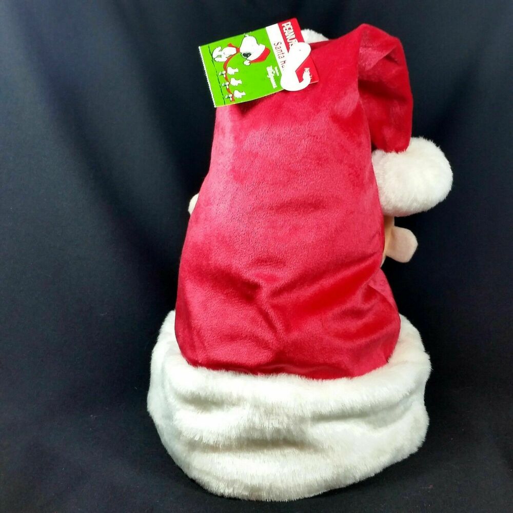 Santa Claus Hat Charlie Brown Christmas 