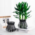 thumbnail image 4 of Self-watering Flowerpot with Self-absorbing Cotton Rope Creative Plastic Plant Pot Indoor Planter with Inner Cup for Succulent Cactus Herb African Violets, 4 of 8