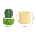 thumbnail image 3 of Fiudx Cepillo Lavavajillas de Cactus, Fibra Textil Ecológica, Descontaminación Ultrafuerte, Cepillo para Ollas con Mango, Práctico Almacenamiento En La Cocina, Diseño de Limpieza Extraíble, Tamaño 8, 3 of 3
