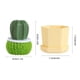 thumbnail image 3 of Xihbxyly Cepillo Lavavajillas de Cactus, Fibra Textil Ecológica, Descontaminación Ultrafuerte, Cepillo para Ollas con Mango, Práctico Almacenamiento En La Cocina, Diseño de Limpieza Extraíble, Tamaño, 3 of 3