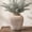 Rustic-286, variant on White Decorative Terracotta Vase, Rustic Ceramic Flower Vase for Living Room, Bathroom & Centerpieces