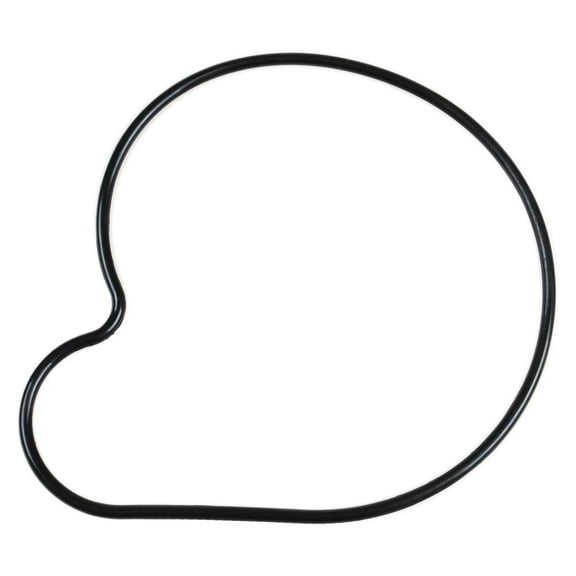 Arctic Cat New OEM Water Pump O-Ring Seal Gasket ZRT EXT Cheetah Cougar Wild ZR