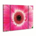 thumbnail image 2 of Trademark Fine Art 'Pink Gerber' Canvas Art by Kurt Shaffer, 2 of 4
