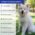 thumbnail image 5 of Collagen+ Ultimate Dog or Cat Food Topper with Greens Probiotics Enzymes Colostrum Glucosamine Omegas Supports Healthy Joints Energy Digestion Immunity, 5 of 5