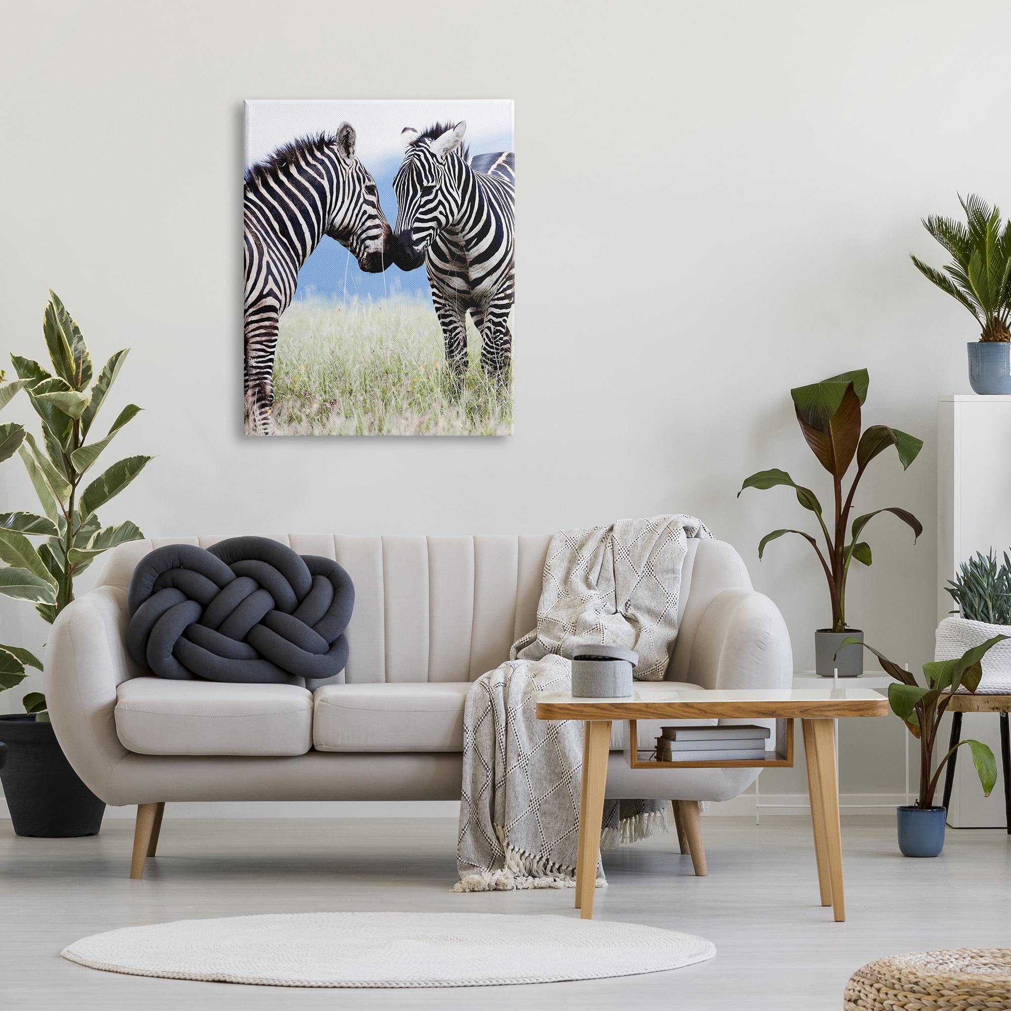 Stupell Industries Heartwarming Zebras Kissing in Field Animal Wildlife Photograph Gallery Wrapped Canvas Print Wall Art, Design by Danita Delimont