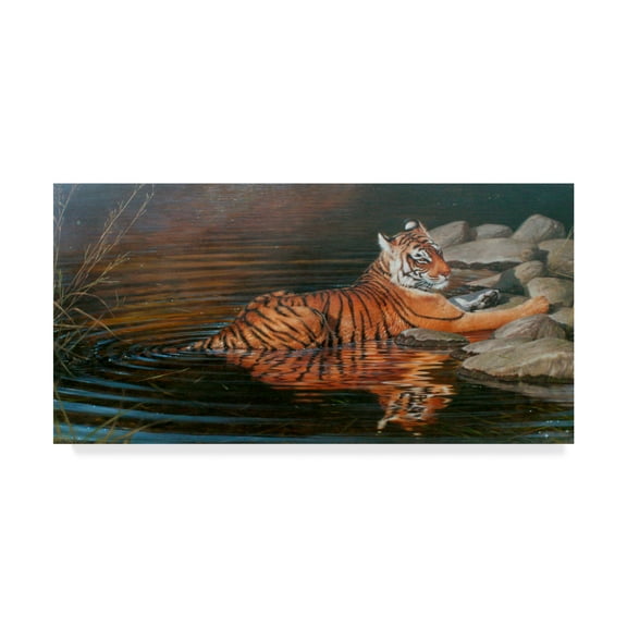 Trademark Fine Art 'Indian Summer Tiger' Canvas Art by Michael Jackson