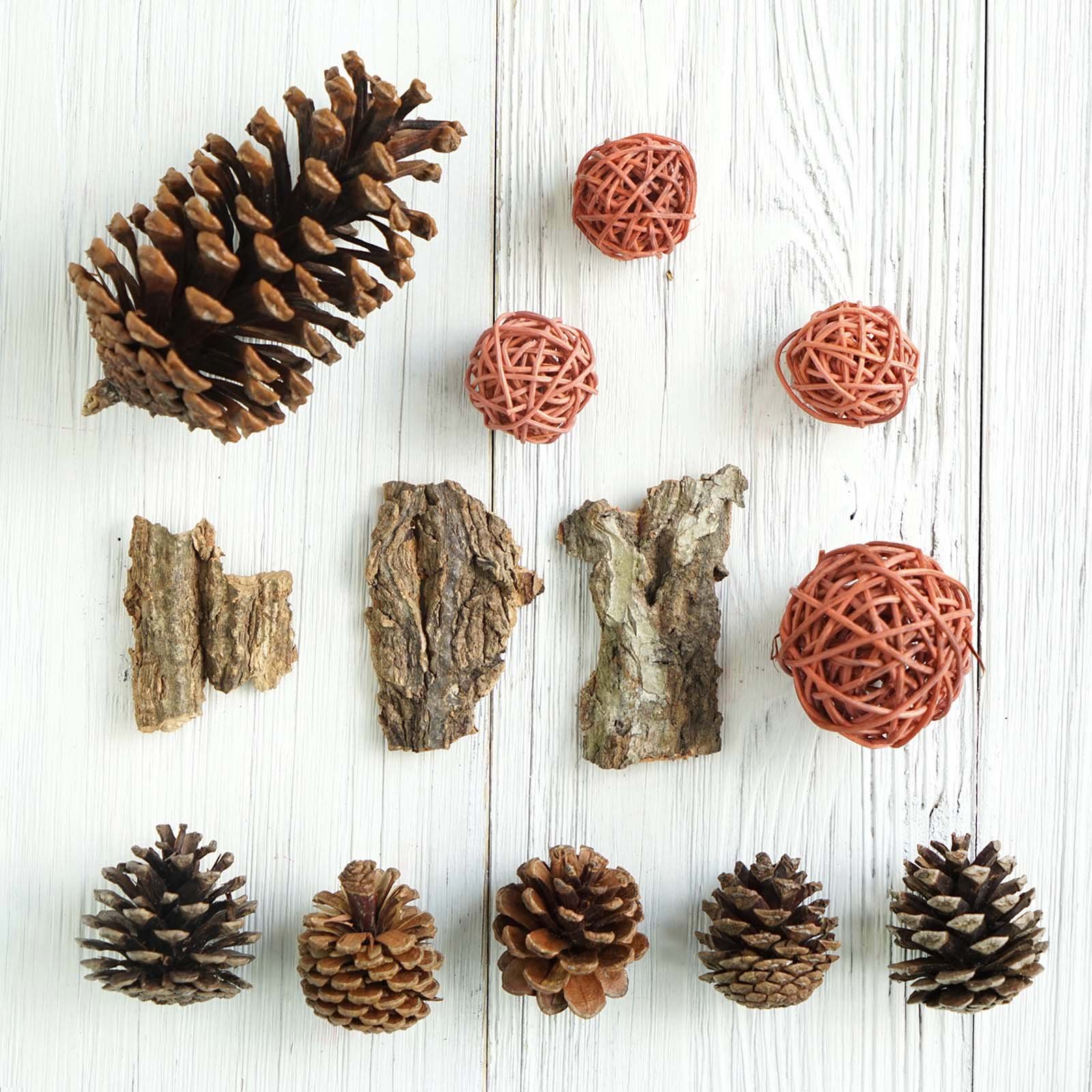 9 Pack Natural Pine Cones And Barks Assorted Potpourri Vase