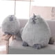 thumbnail image 2 of Stuffed Animal Pie Cat Stuffed Animal,cute Soft P Cat Animals, Stuffed Cat, For Kids,boys,girls,fat Cat Stuffed Toy, 2 of 5