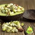 thumbnail image 2 of Todd's Seeds - Protein Bean Sprouting Seed Mix - 1 LB, 2 of 7