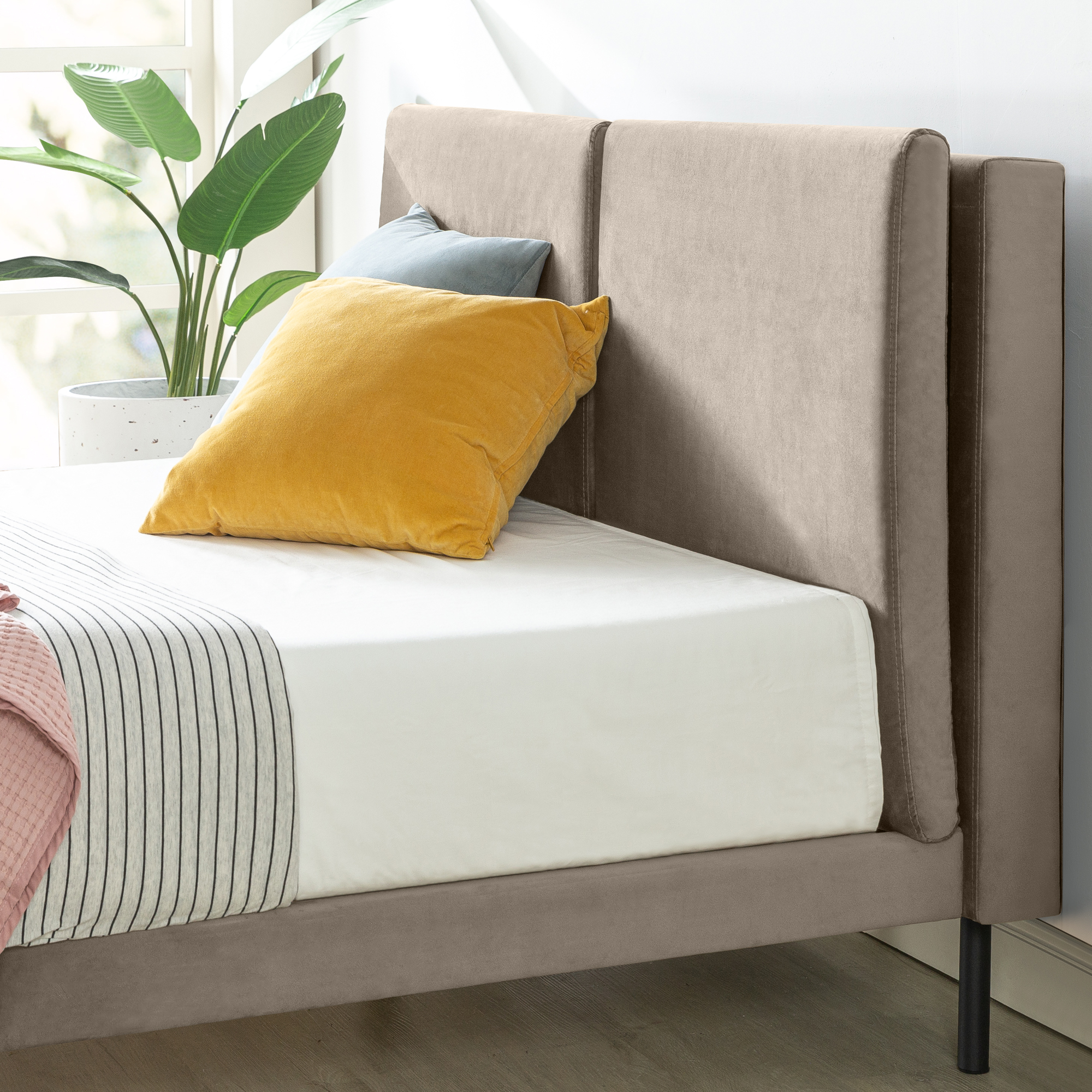 Zinus Taylor 38" Velvet Upholstered Platform Bed Frame with Split Headboard, Latte, Queen