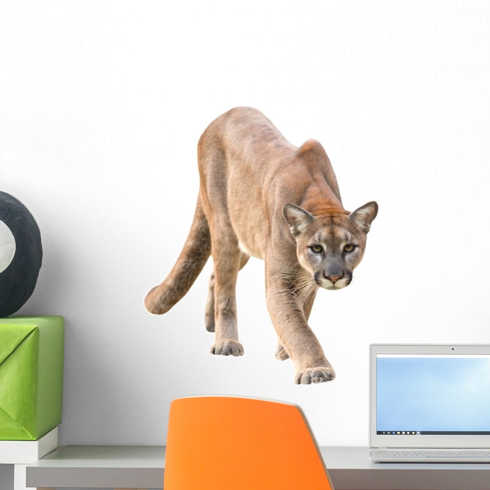 Puma Wall Decal by Wallmonkeys Peel and Stick Graphic (18 in H x 15 in