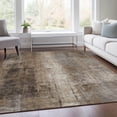 thumbnail image 5 of Dalyn Rugs Machine Washable Indoor/Outdoor Chantille Brown 10' x 14' Rug, 5 of 9