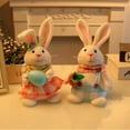 thumbnail image 7 of 2pcs/lot Cute Easter Bunny Gnomes Plush with Light,Easter Gnome Gift Home Table Ornament for Home Decoration Rabbits Elf Dwarf Swedish Rabbit Tomte, 7 of 7