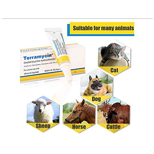 Animal Health Terramycin Antibiotic Ophthalmic Ointment 1 8 Oz Walmart Com Animal Health Terramycin Antibiotic Ophthalmic Ointment 1 8 Oz Walmart Com