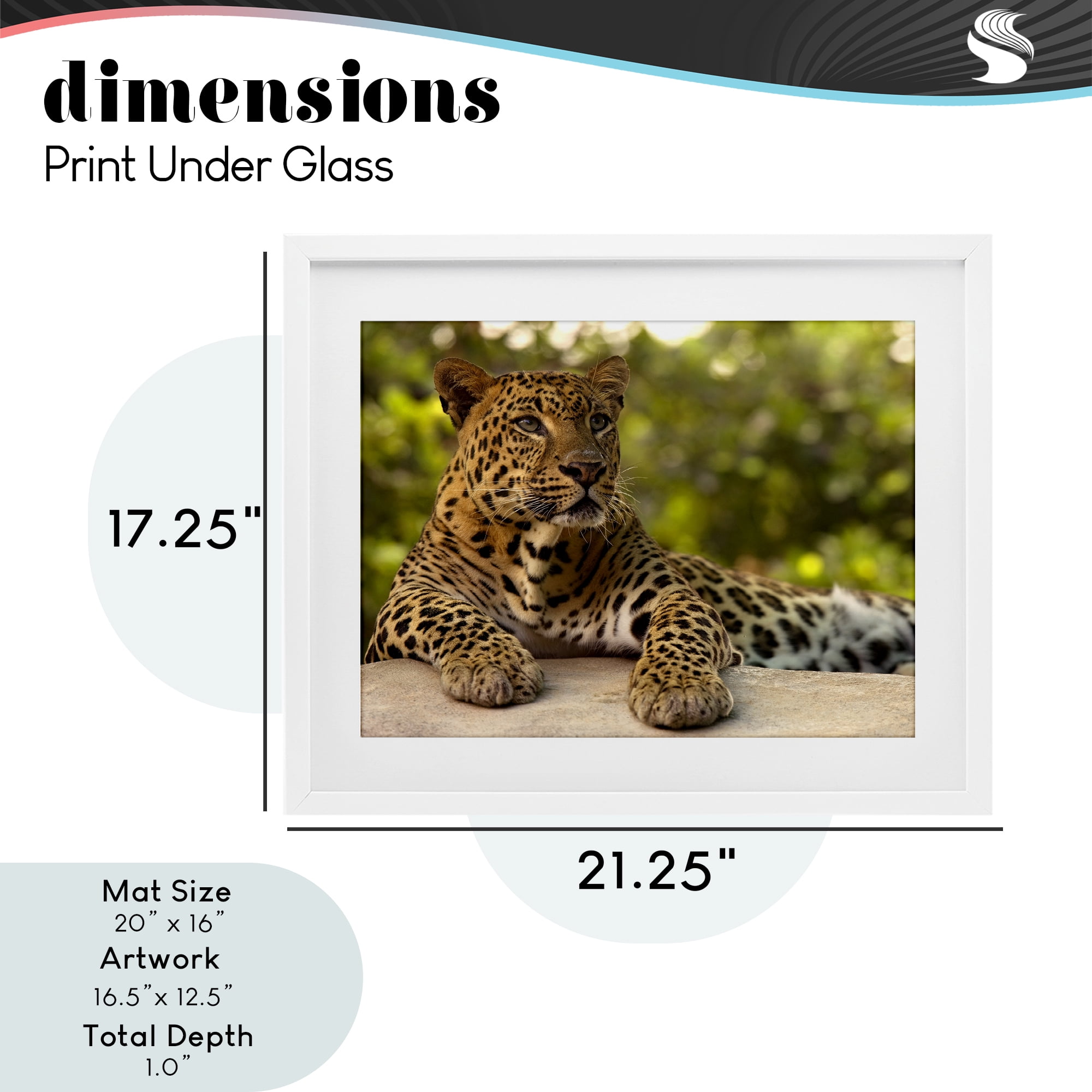 Leopard Gazing Relaxation White Framed Print Under Glass, design by MJ Photography