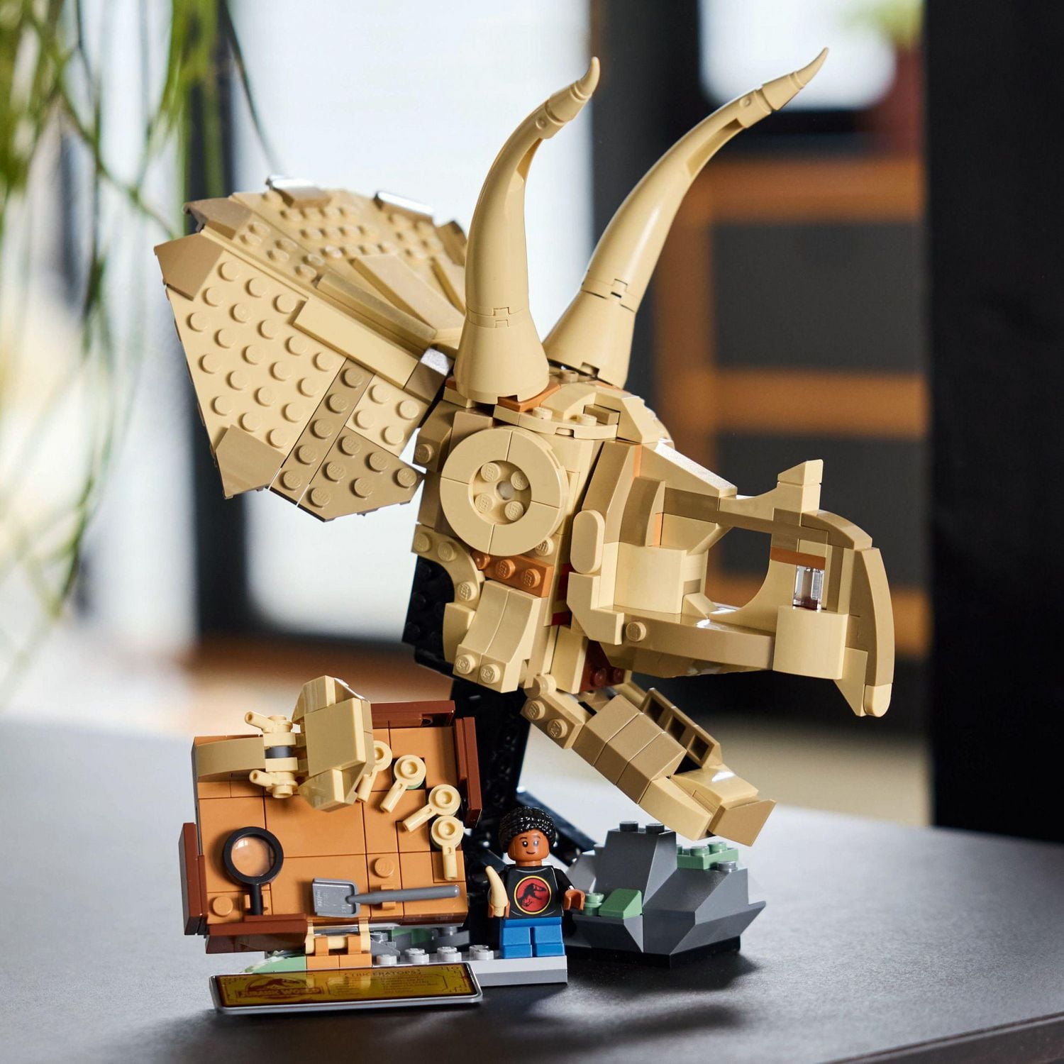 LEGO Jurassic World Dinosaur Fossils Triceratops Skull Toy - Dinosaur Toy Fossil Building Set for Kids, Boys and Girls, Ages 9+ - Model Display Kit - Gift Idea for Birthdays - 76969, Includes 468 Pieces, Ages 9+