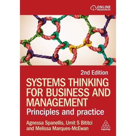 Systems Thinking for Business and Management: Principles and Practice (Paperback)